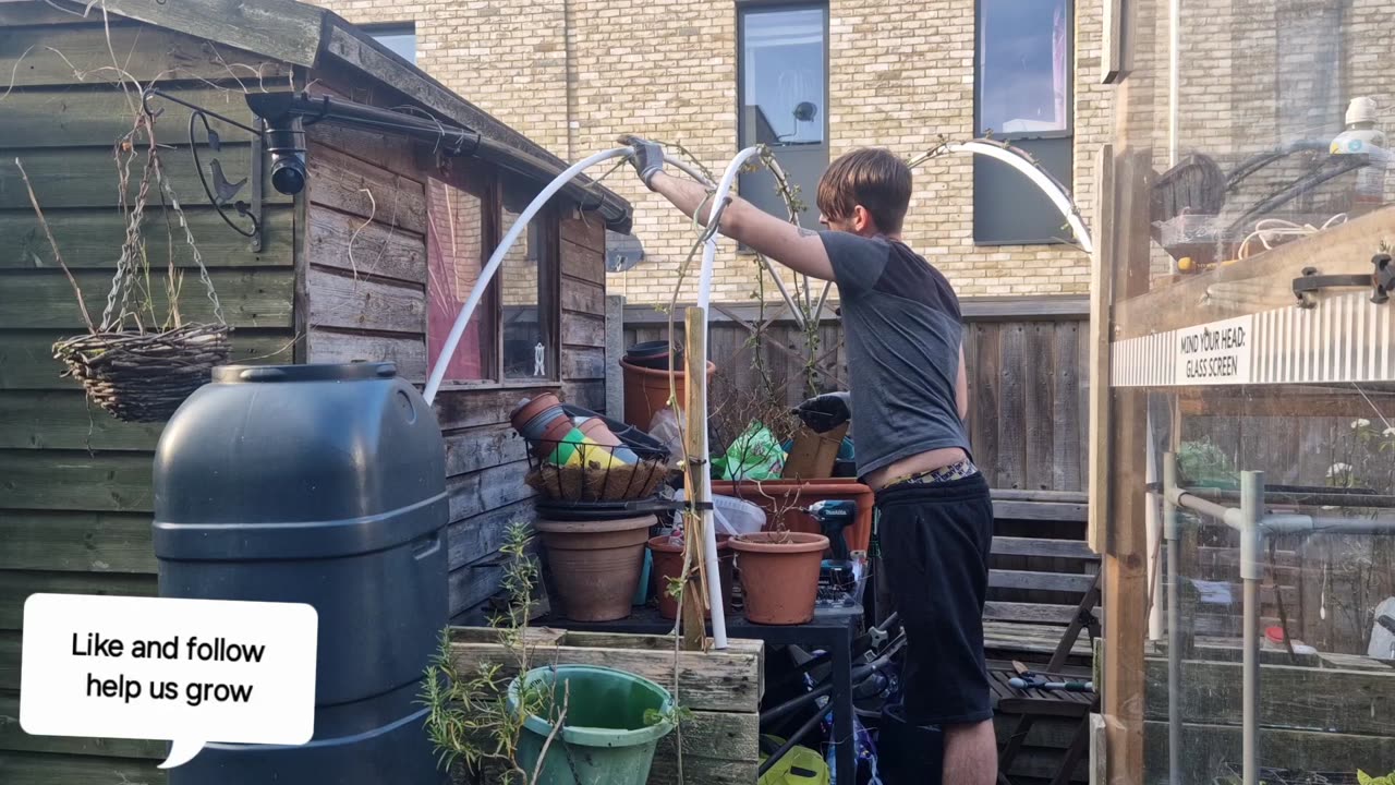 Making a raspberry arch and clearing blackberries