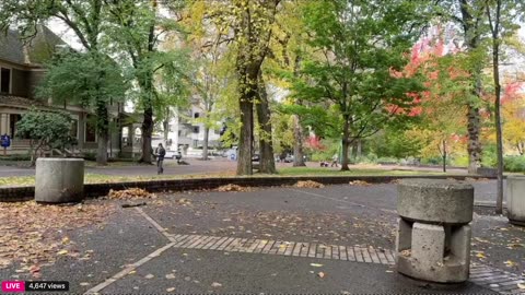 Tommy Boi @Tommy4Trump420 getting harassed by the Police to see if he knows who