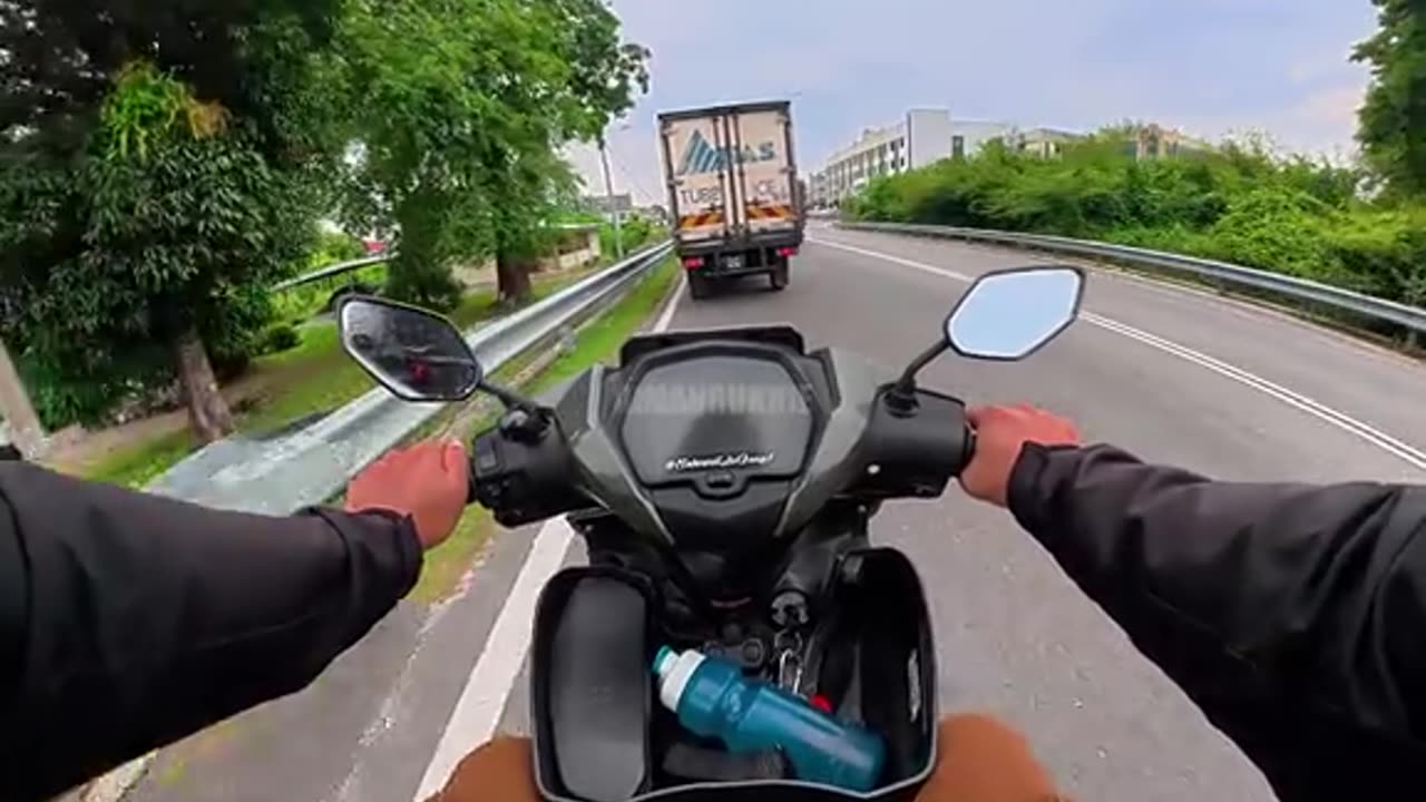 Cat and motovlog