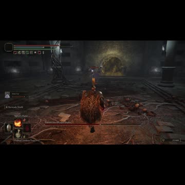 Elden Ring NG+1 | Putrid Grave Warden Duelist boss w/Mimic Tear #shorts #eldenring #fromsoftware
