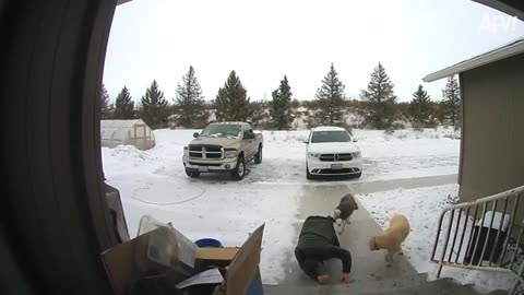 Epic CCTV Ice Fails Caught on Camera