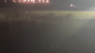 The government and power — those involved in murdering ostriches are EVIL