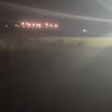 Echoes of the Night — After the Gunfire at Universal Ostrich Farm