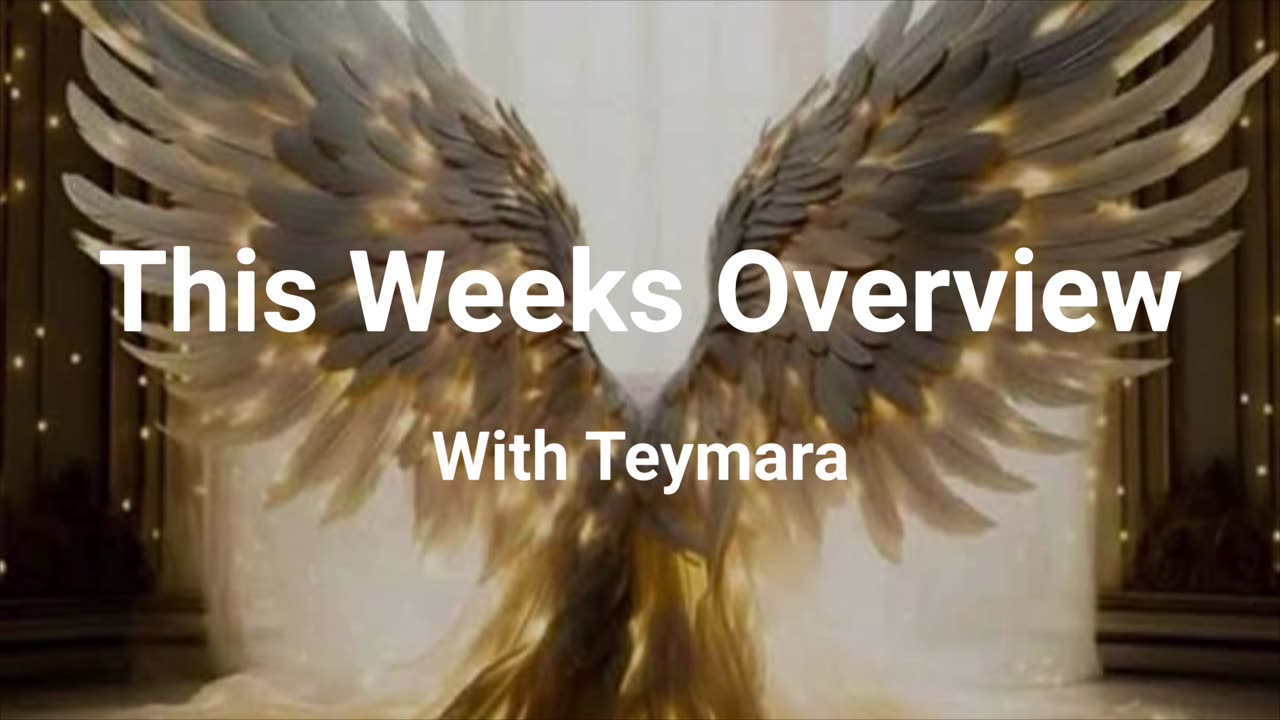 Weekly Overview: October 27th - November 2nd