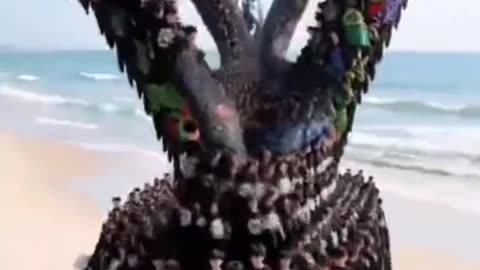 Viral creative funny video
