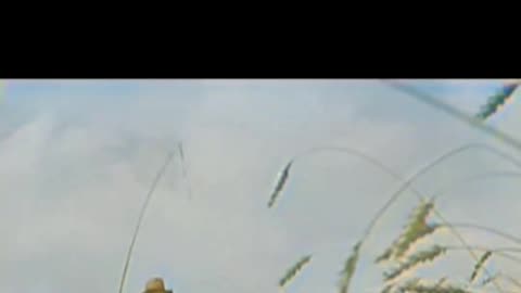 1930s Rural Farming Life Work Across the Fields #ColourisedHistory