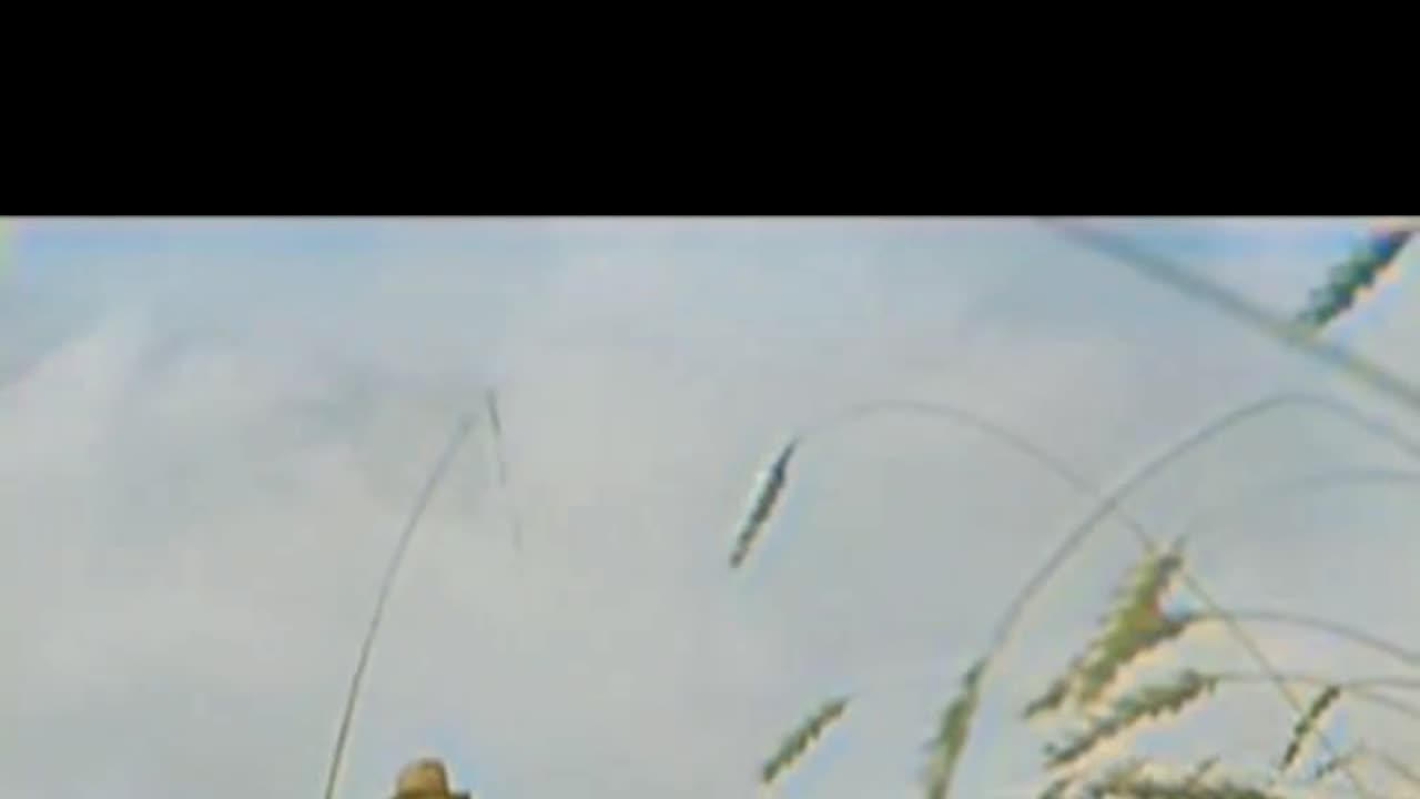 1930s Rural Farming Life Work Across the Fields #ColourisedHistory
