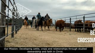 Trent Loos in the Morning - 10/29/2025