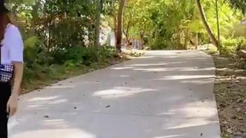 as trapalhoes japones.mp4