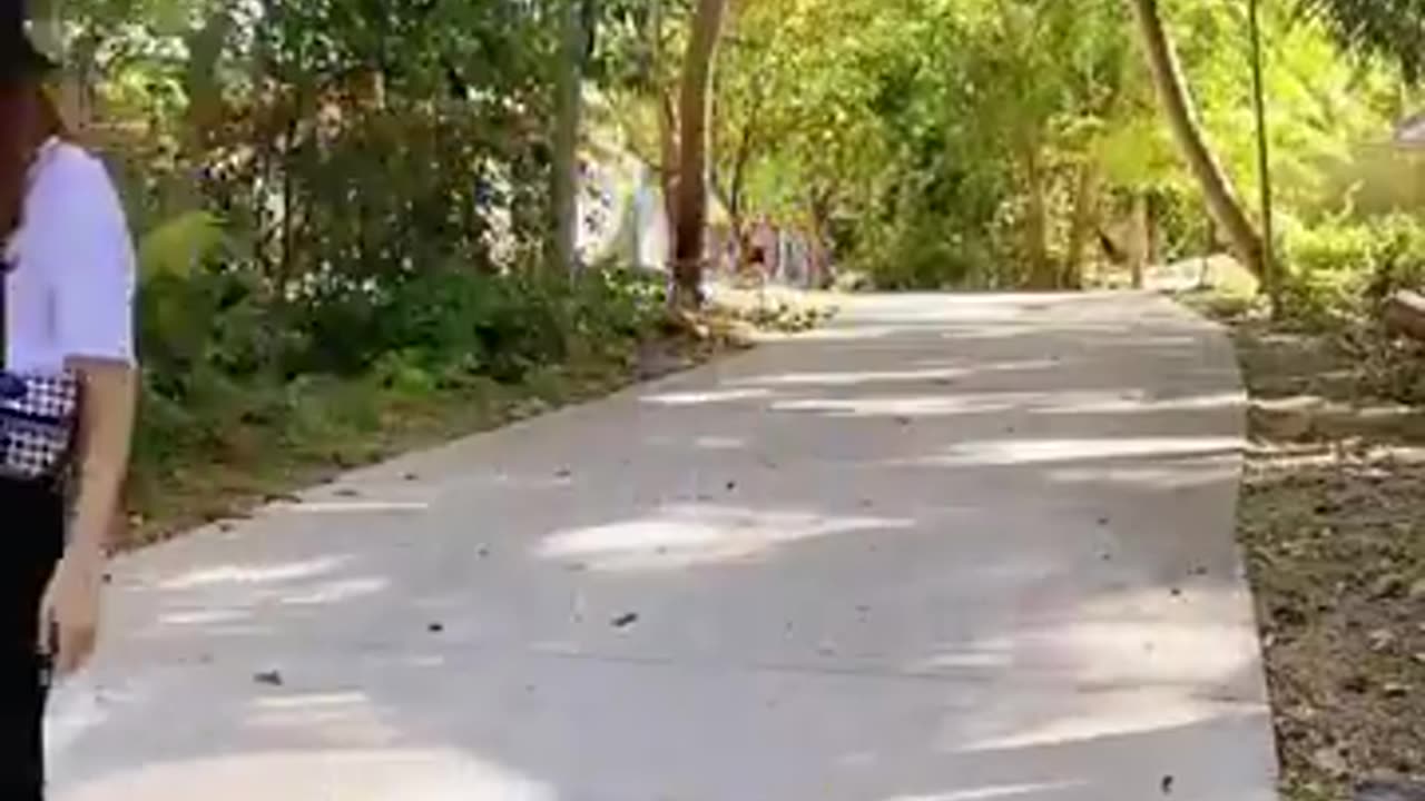 as trapalhoes japones.mp4