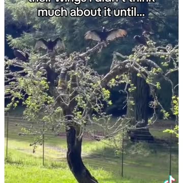 Wow, amazing story! Nature is much smarter then people