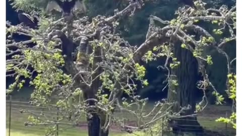 Wow, amazing story! Nature is much smarter then people