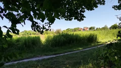 moja tarcza ...
