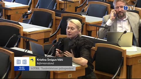 Margus Sild, tuule- ja päikeseenergia ei ole roheline