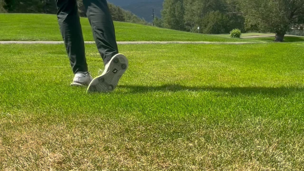 Day 80 road to the pga tour!