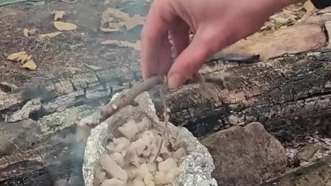 Making a deer tallow candle