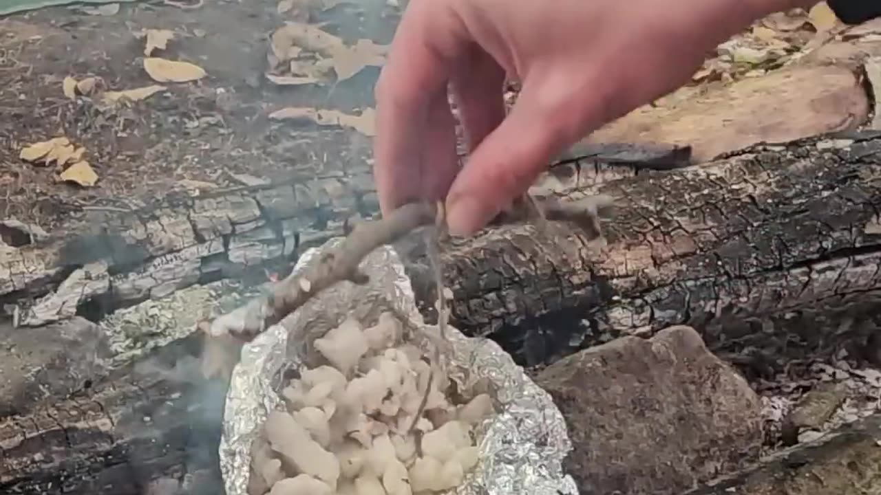 Making a deer tallow candle