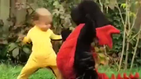 dragon baby lutando kung fu.mp4