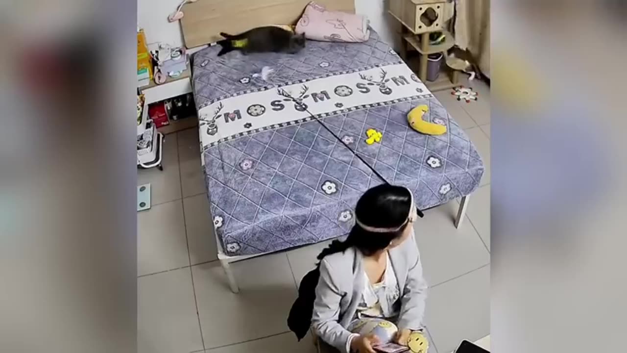 Funny animal video ever part 1