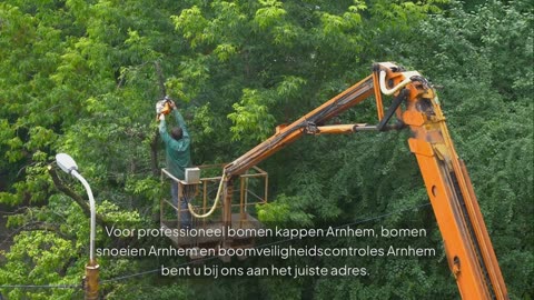 Boomverzorging Arnhem