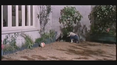 Doctor Terror - Película de terror completa