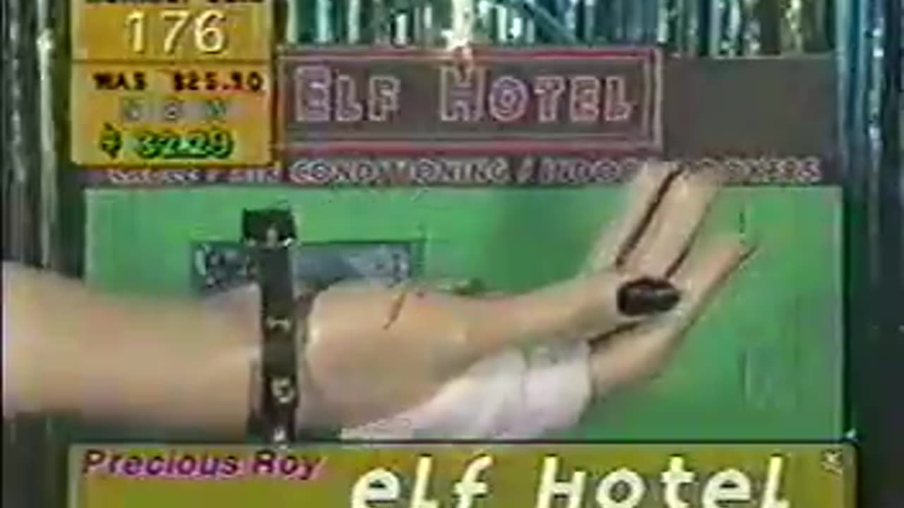Prescious Roy Home Shopping Network: Elf Hotel