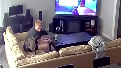 😂🐱 Cat Interrupts Dad's Killstreak! | FunFM