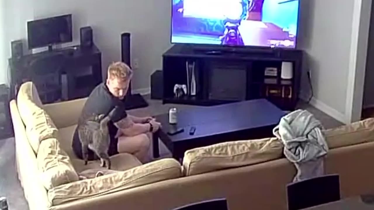 😂🐱 Cat Interrupts Dad's Killstreak! | FunFM