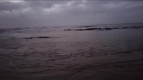 Sea Sight to watch #beach #life