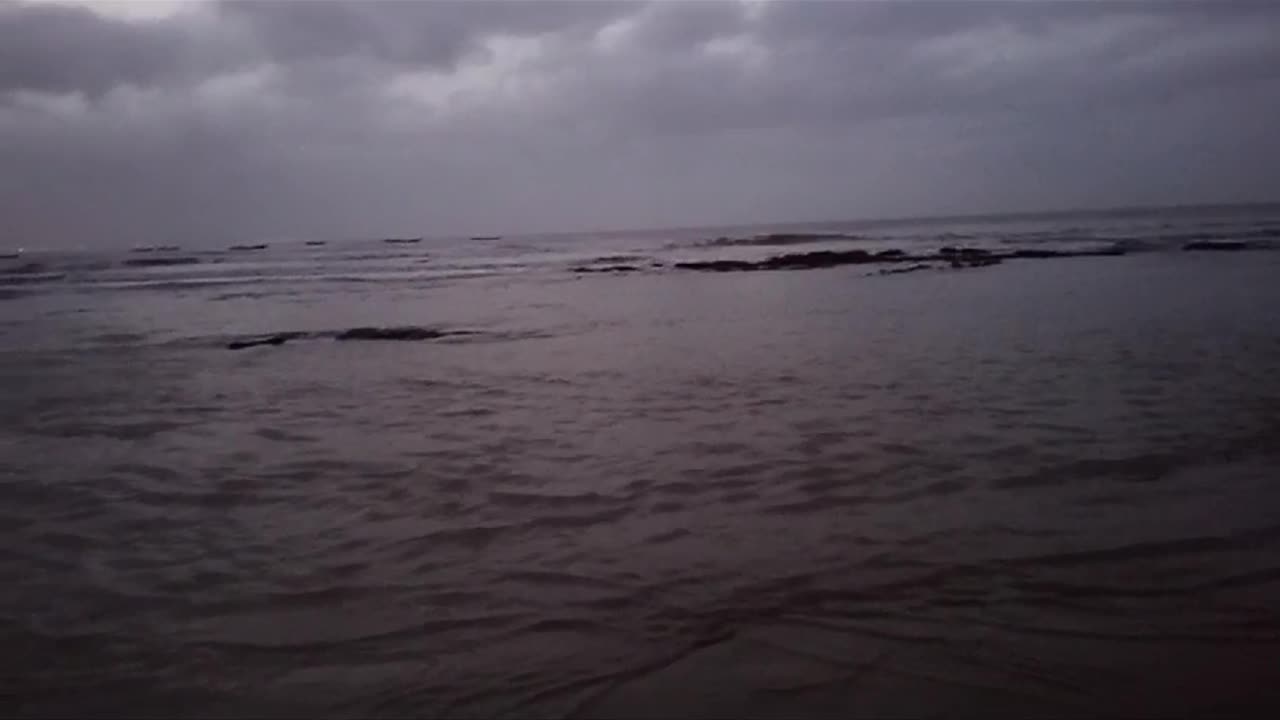 Sea Sight to watch #beach #life