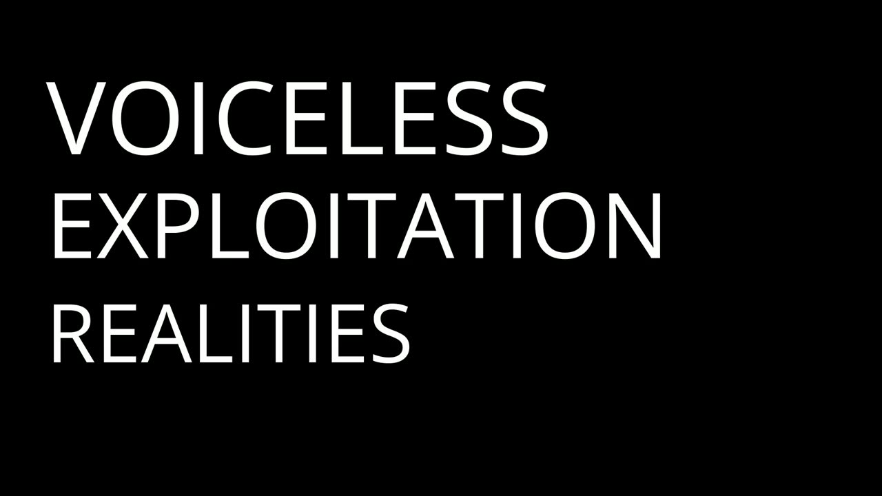 The Silent Suffering of Migrants | Orwell - Part 1