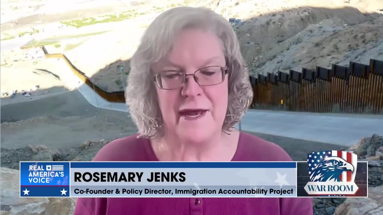 Rosemary Jenks outlines Democrats' demand to limit immigration enforcement