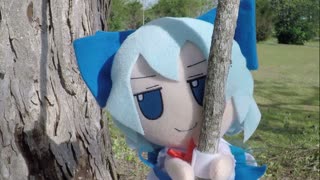 Swing Baka swing