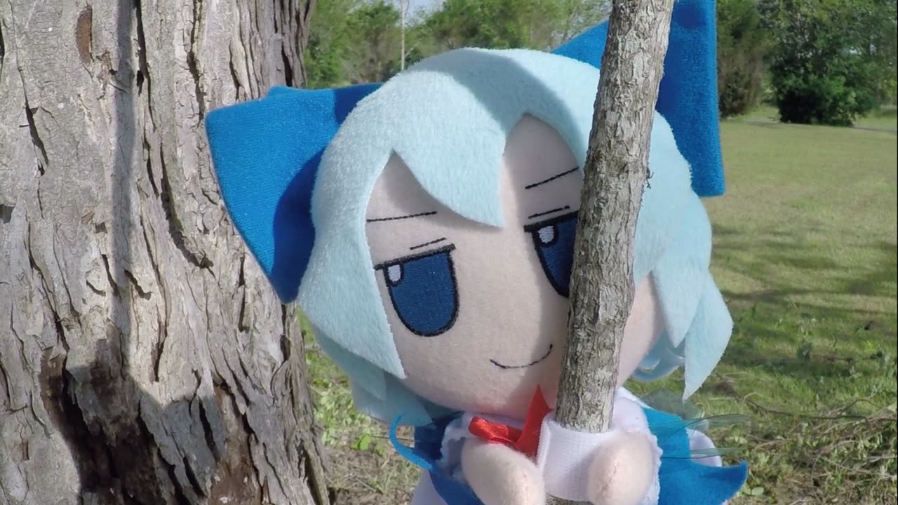 Swing Baka swing