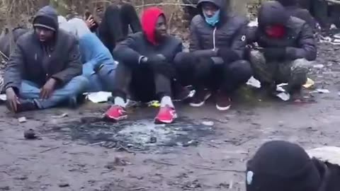 Imagine taking your dog for a walk through the park.. and this is what u see. yt replacement.