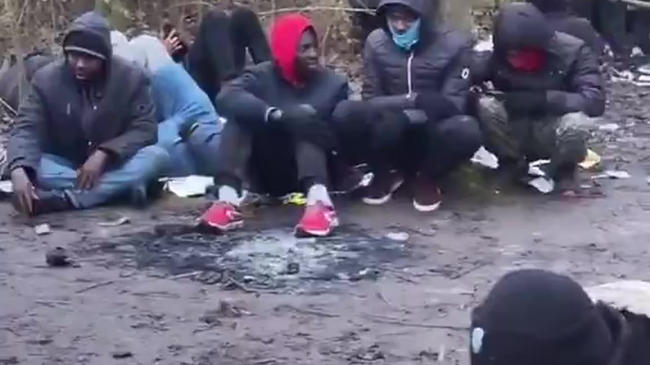 Imagine taking your dog for a walk through the park.. and this is what u see. yt replacement.