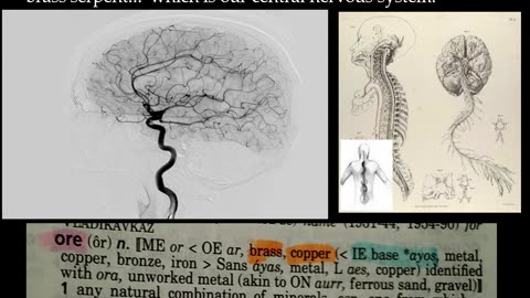 The biochemistry of your body