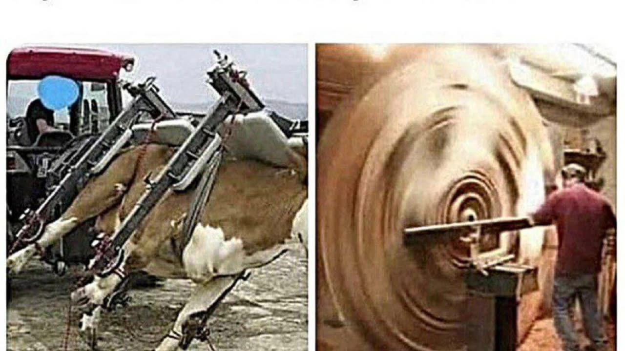 Meme-monday