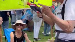 The Left have lost their minds