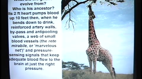 Facts Supporting Intelligent Design - Kent Hovind