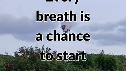 Every breath is a chance to start anew