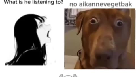 Best lyrics