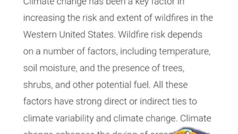 Mismanagement of wildfires