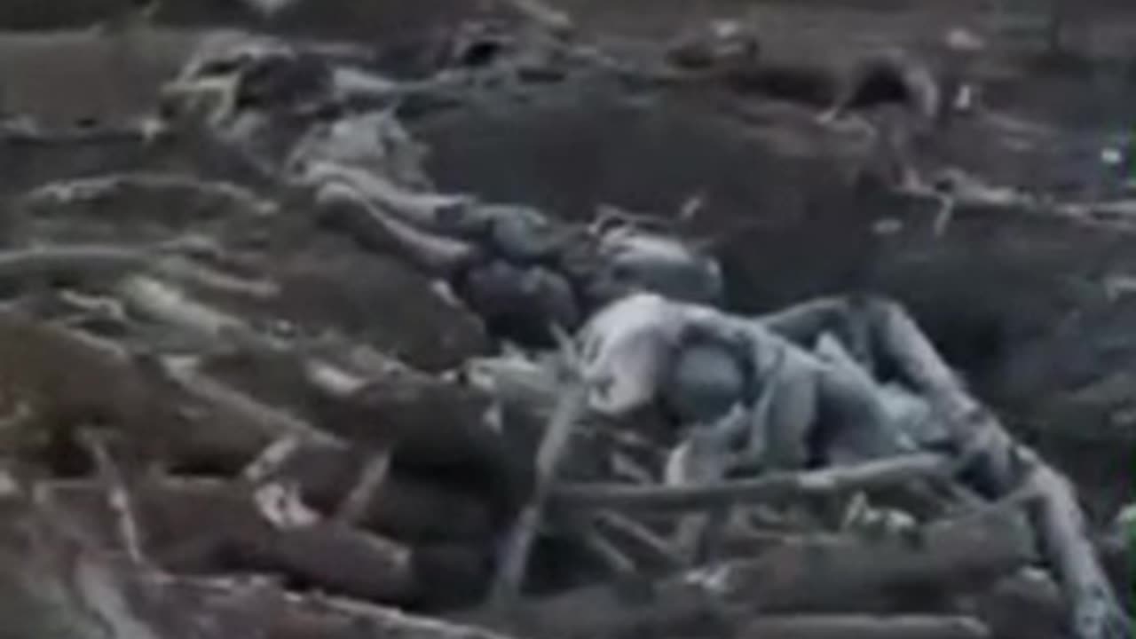 War in ukraine