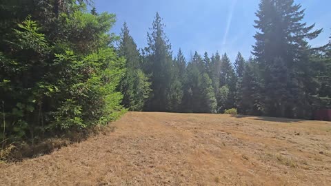 August 2025 Real Estate Market Update for King Skagit Snohomish Counties