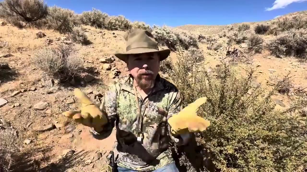 The 5 BIGGEST Mistakes That Keep 90% of Gold Prospectors From Finding Gold