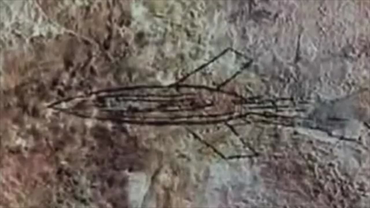 Man Gives Terrifying Update On The Alien Entity In Panama "It's Still Growing"
