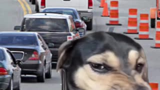 Are you supposed to wave if someone lets you merge in?