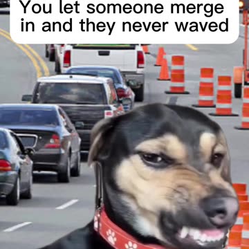 Are you supposed to wave if someone lets you merge in?