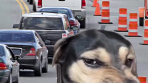 Are you supposed to wave if someone lets you merge in?